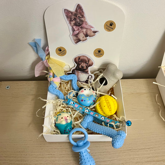 Box Surprise capsules PETS