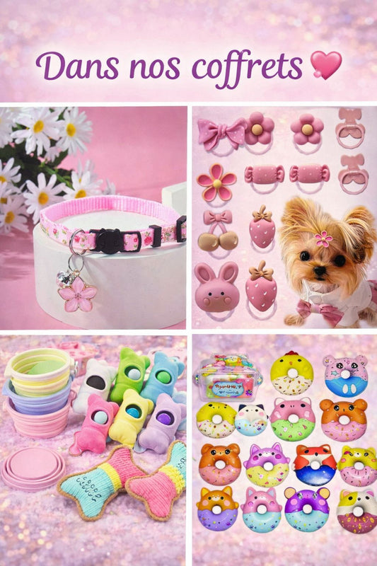 Box Surprise capsules PETS