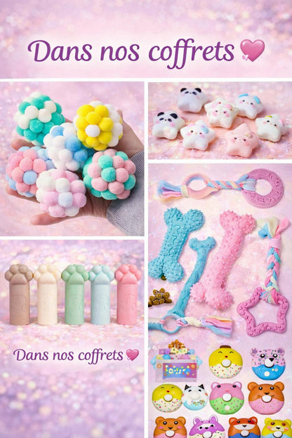 Box Surprise capsules PETS